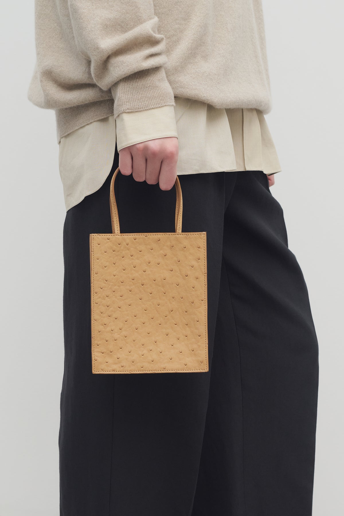 Small To Go Tote Bag in Ostrich